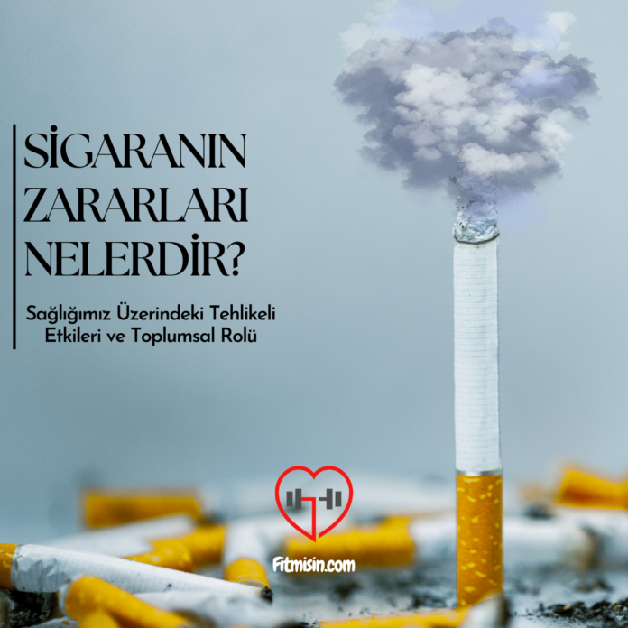 Sigaranın Zararları Nelerdir?