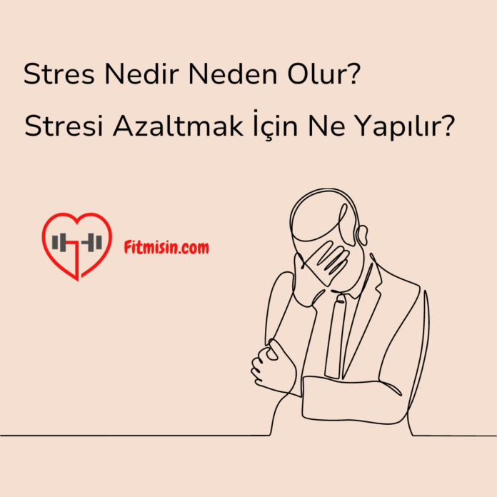 Stres Nedir Neden Olur?