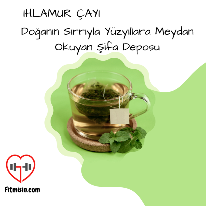 Ihlamur Çayı Nedir?