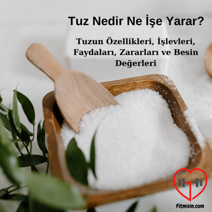 Tuz Nedir Ne İşe Yarar?