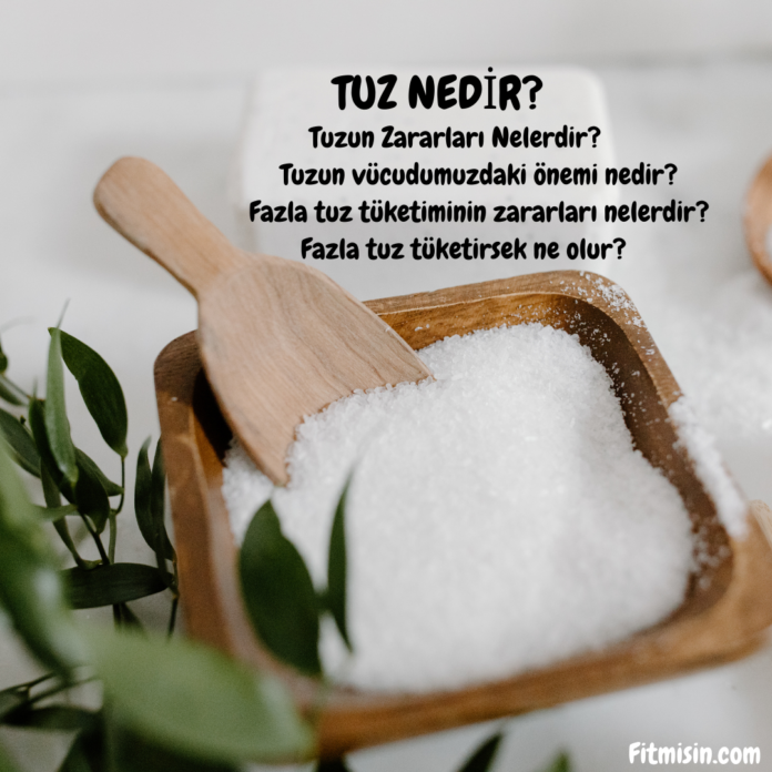 Tuz Nedir?