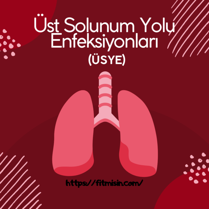 Üst Solunum Yolu Enfeksiyonları