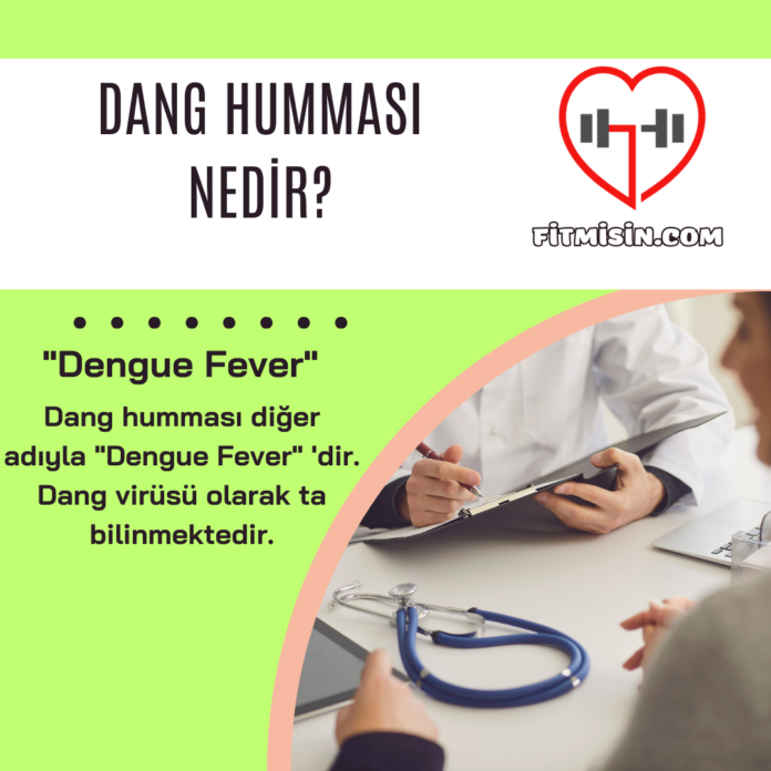 Dang Humması Nedir?